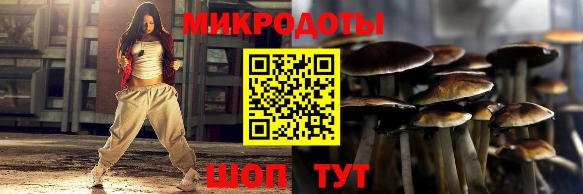 Лабытнанги  Псилоцибиновые грибы ЛСД  Псилоцибиновые грибы Psilocybe  Вход с VPN 